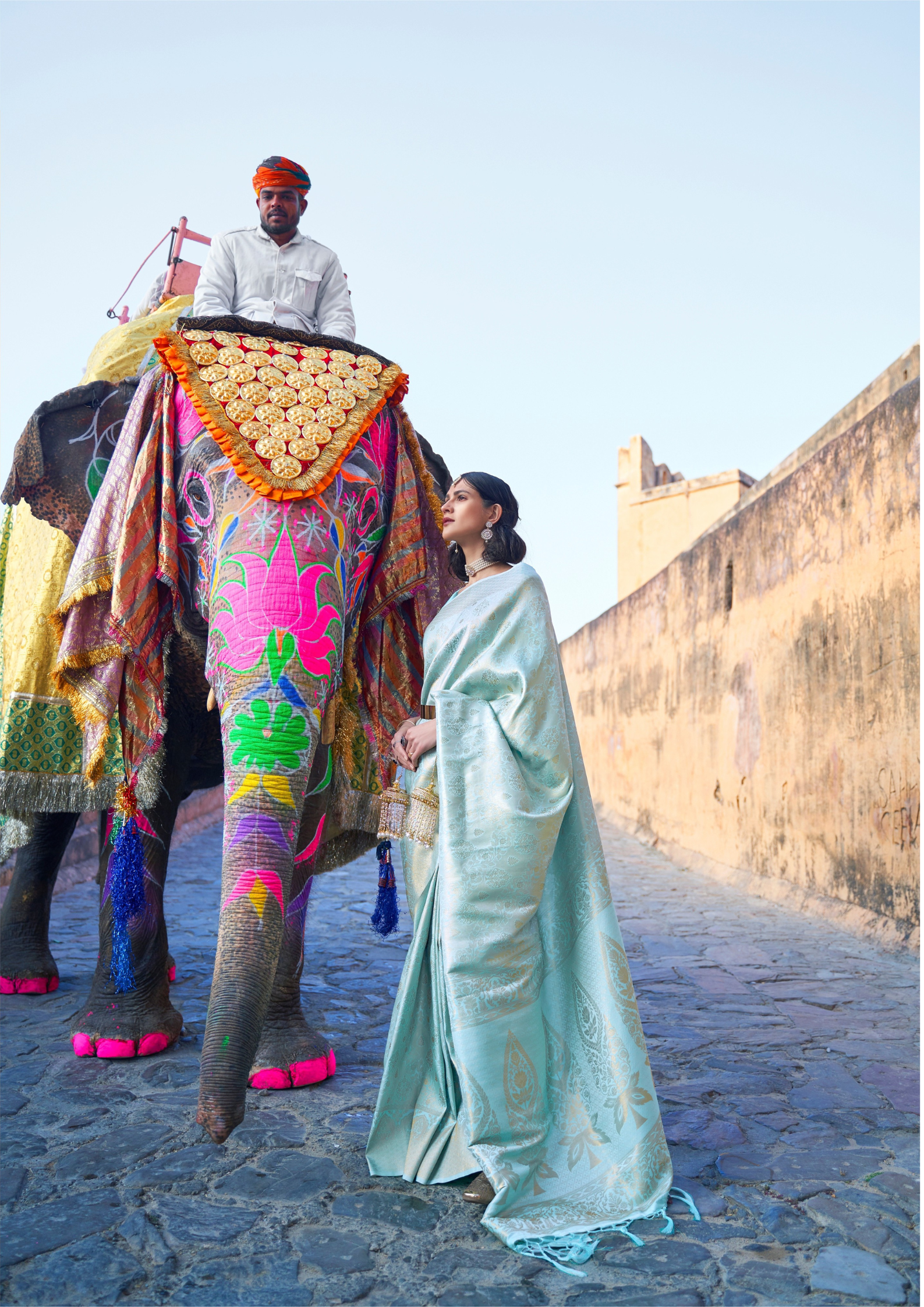 Kanjivaram PASTEL BLUE  HANDLOOM WEAVING SILK SAREES