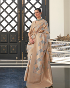 Grey Lehehriya Organza woven saree