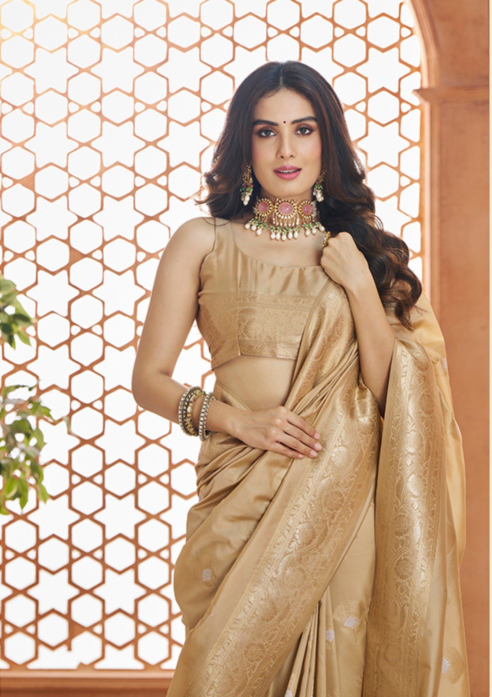 PURE SOFT BANARASI SILK BEIGE SAREE