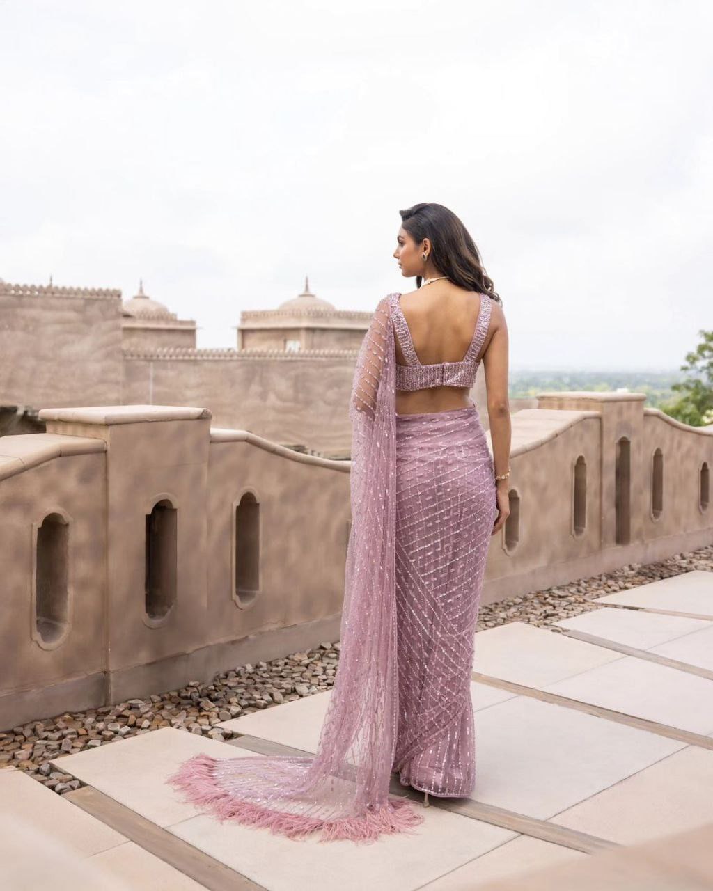 Pink Nylon Butterfly Net Saree