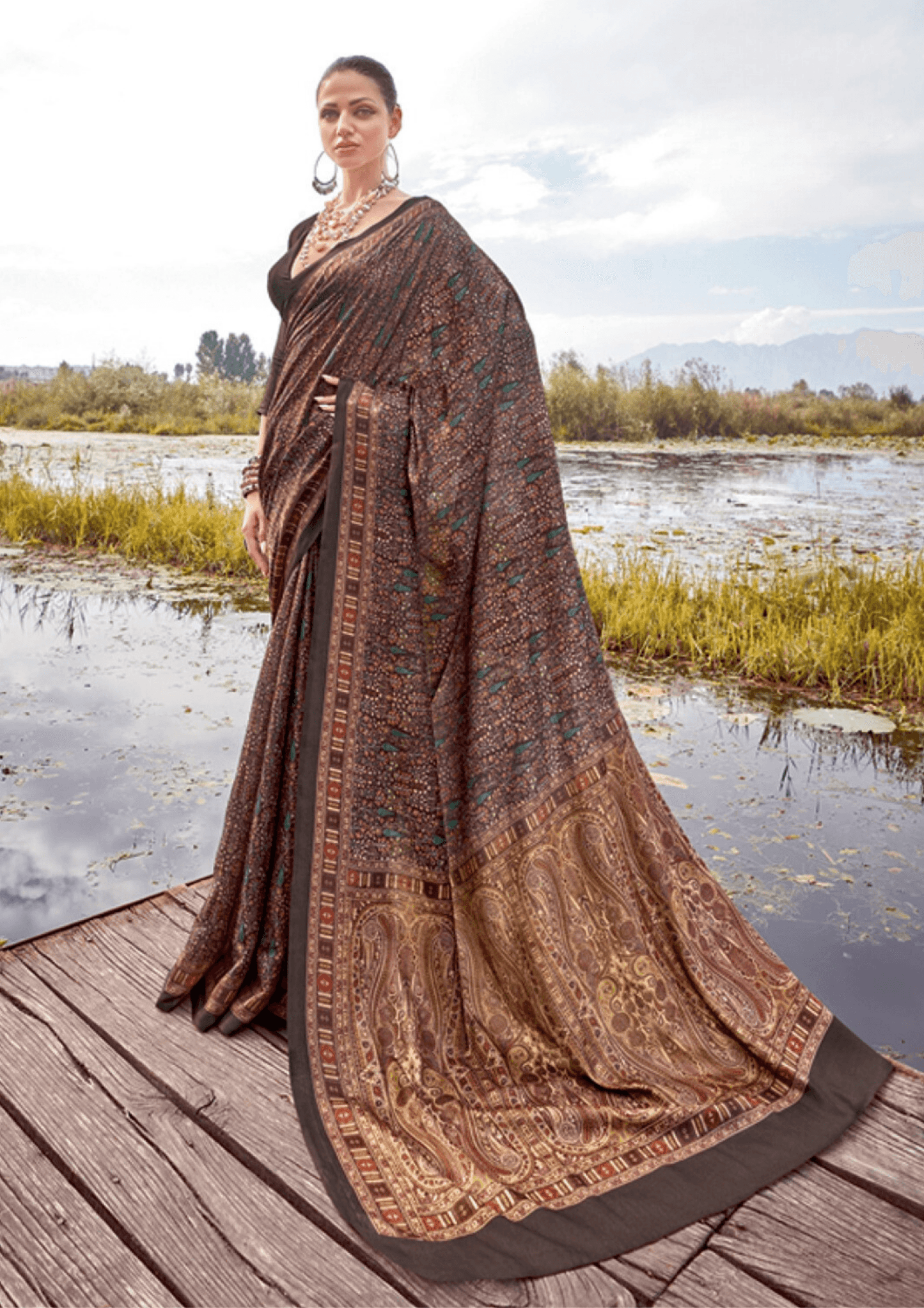 Saree Brown Pashmina Print Saree - SaviDurga