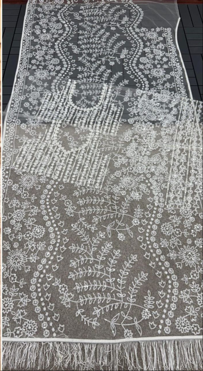 White butterfly net  saree with white sequence work