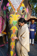 Gold Silk Handloom weaving saree